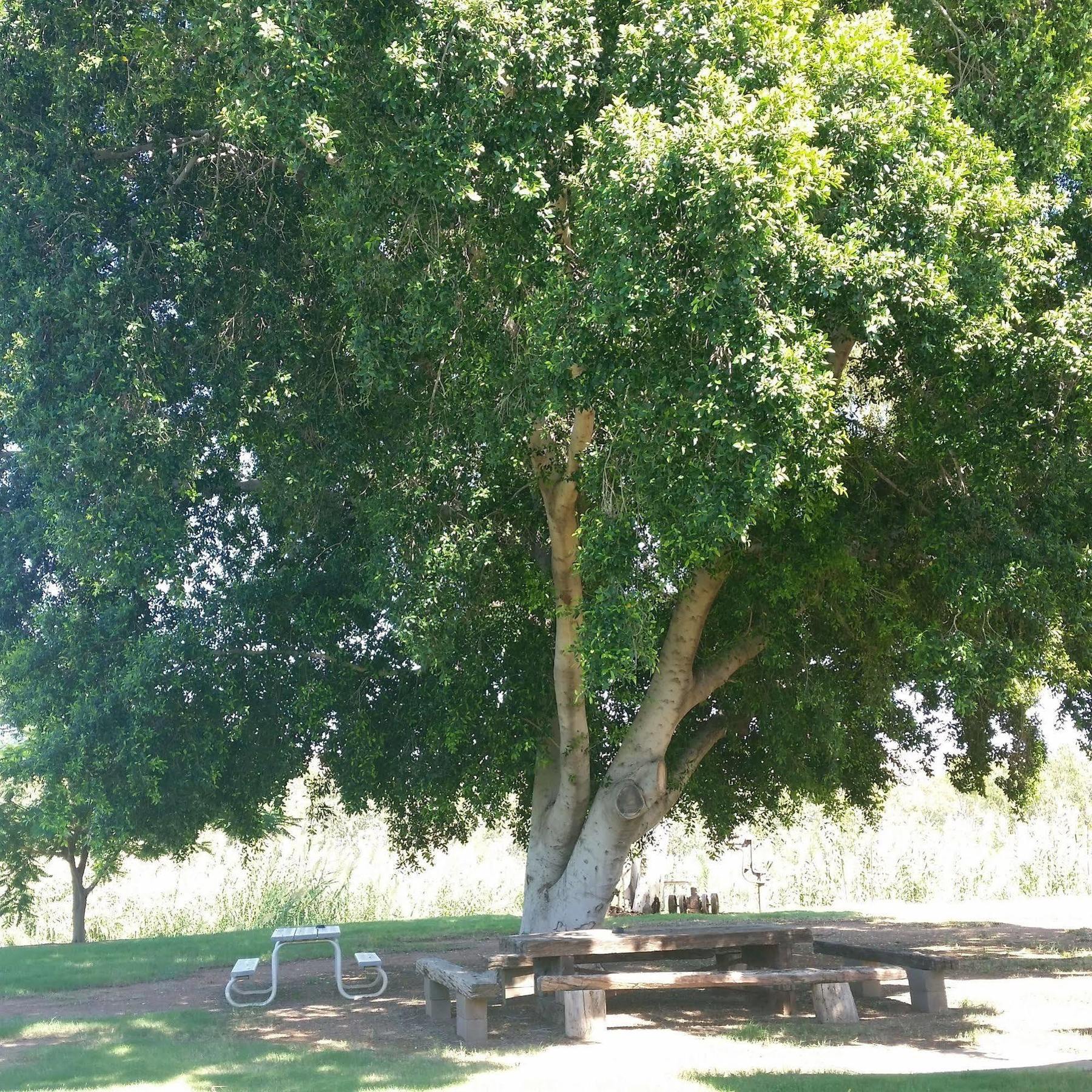 Leichhardt Accommodation Mount Isa Εξωτερικό φωτογραφία